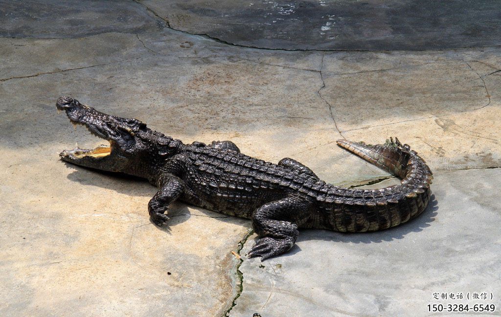 仿古玻璃鋼鱷魚雕塑 庭院彩繪雕塑 田間小品