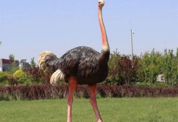 玻璃鋼仿真鴕鳥雕塑廠家，公園廣場動物，大型園林小品