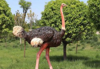 鴕鳥(niǎo)雕塑廠(chǎng)家，公園廣場(chǎng)動(dòng)物，大型園林小品