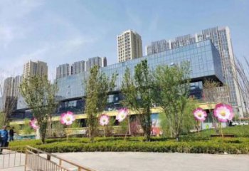 杏花雕塑訂做，公園雕塑，不銹鋼杏花雕塑生產商