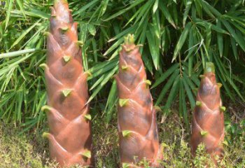 竹筍雕塑預定，創意雕塑，不銹鋼竹筍雕塑選用