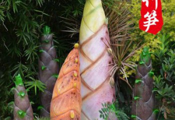 竹筍雕制造商，室外軟裝，不銹鋼竹筍雕塑生產(chǎn)商