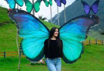 羽翼雕塑精品，白鋼構(gòu)件，別墅不銹鋼羽翼雕塑供求